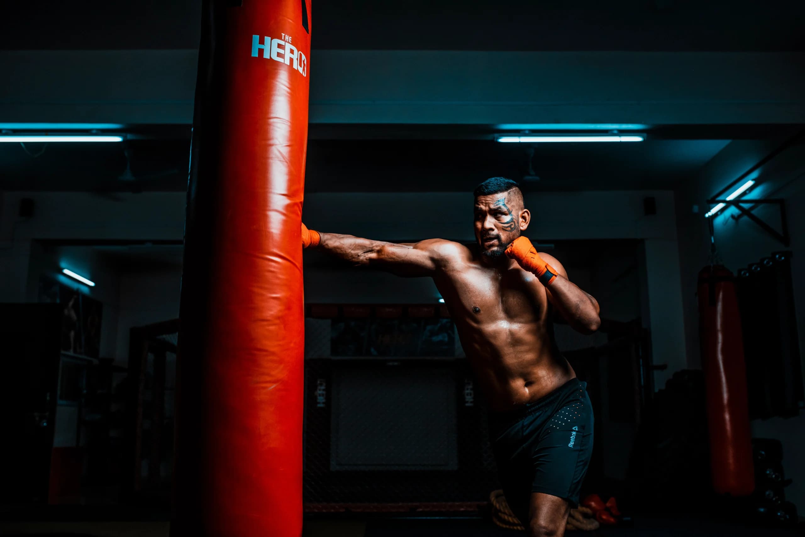 Main image of The Hero Mixed Martial Arts