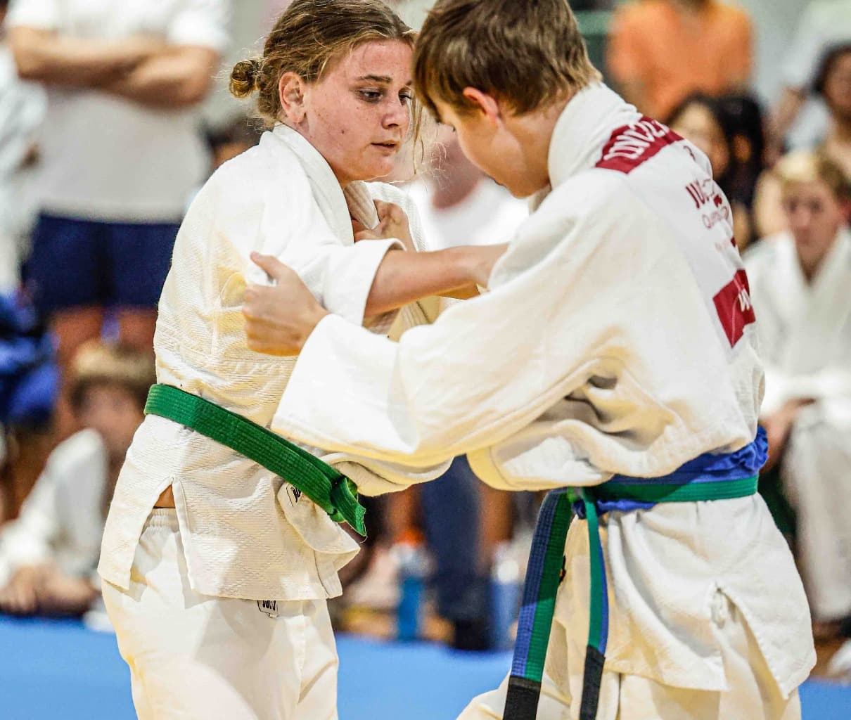 Main image of Sunshine Coast Judo Club Inc.