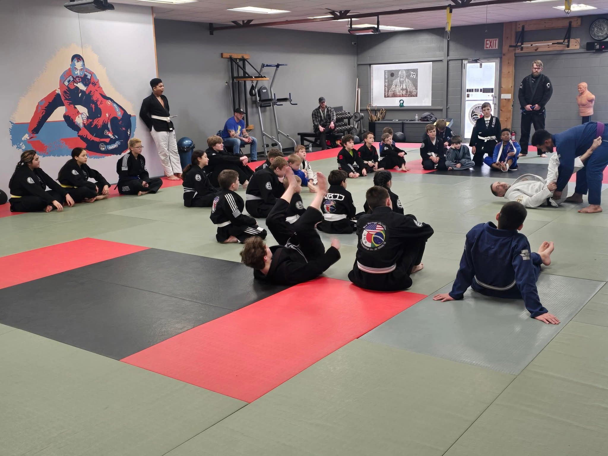 Main image of Blue Springs Jiu-Jitsu