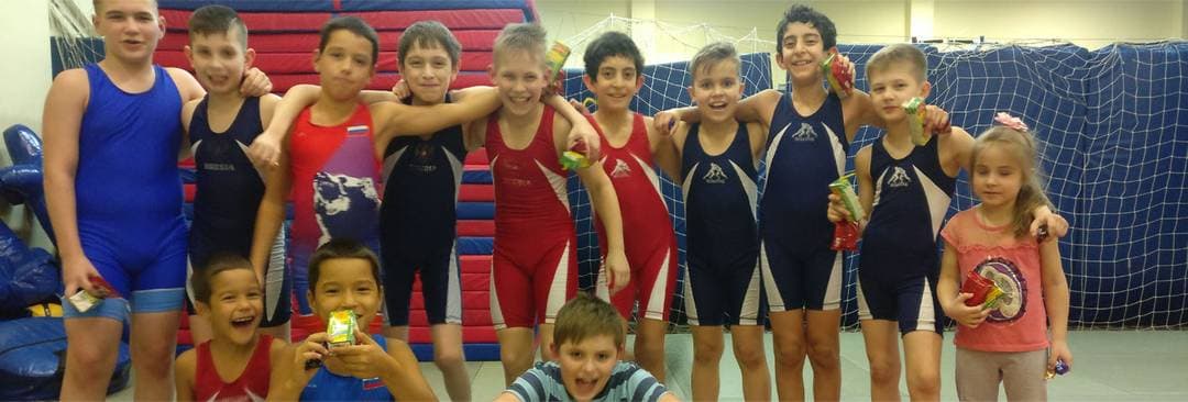 Main image of Wrestling club Ruslan Shagina