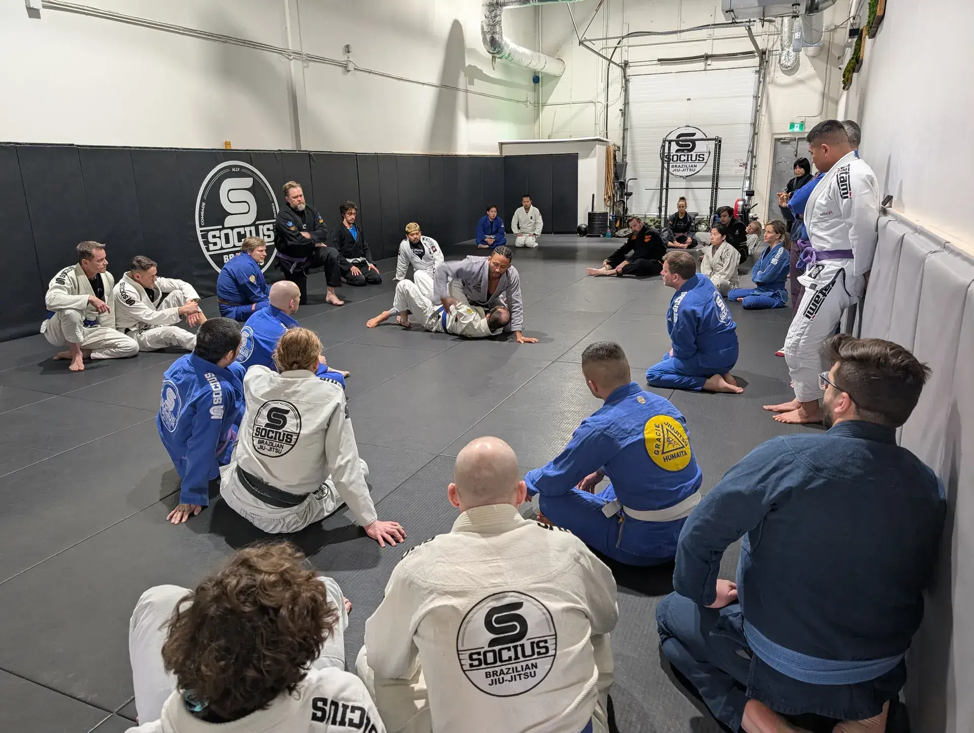 Main image of Socius Brazilian Jiu-Jitsu