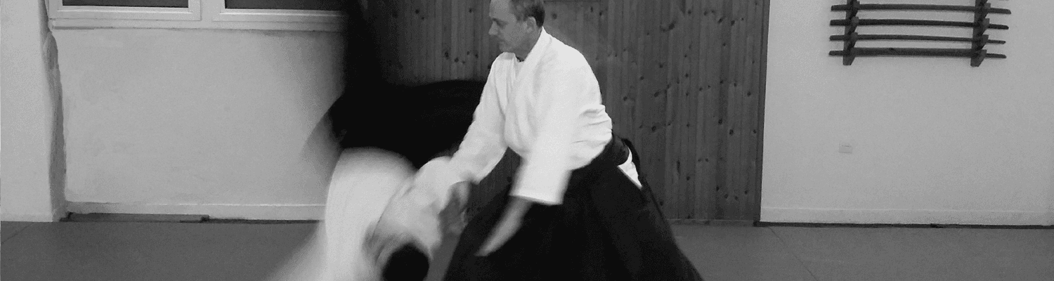 Aikido Kendo Iaido Jodo Katori shinto ryu Judo Α. Σ. ΑΤΡΑΠΟΣ logo