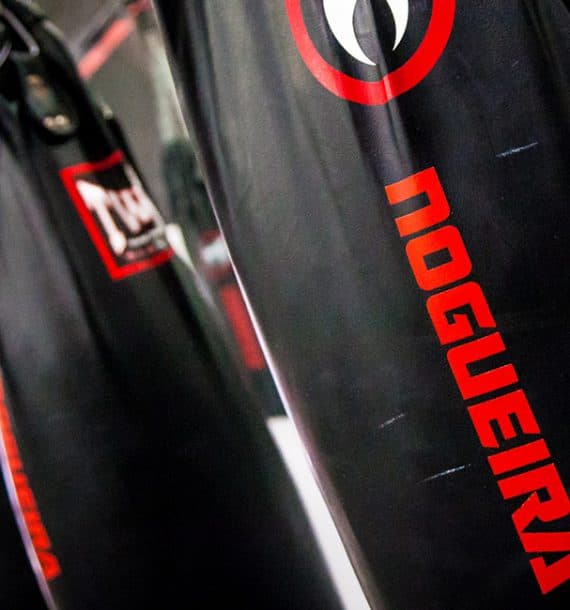 Main image of Team Nogueira Dubai