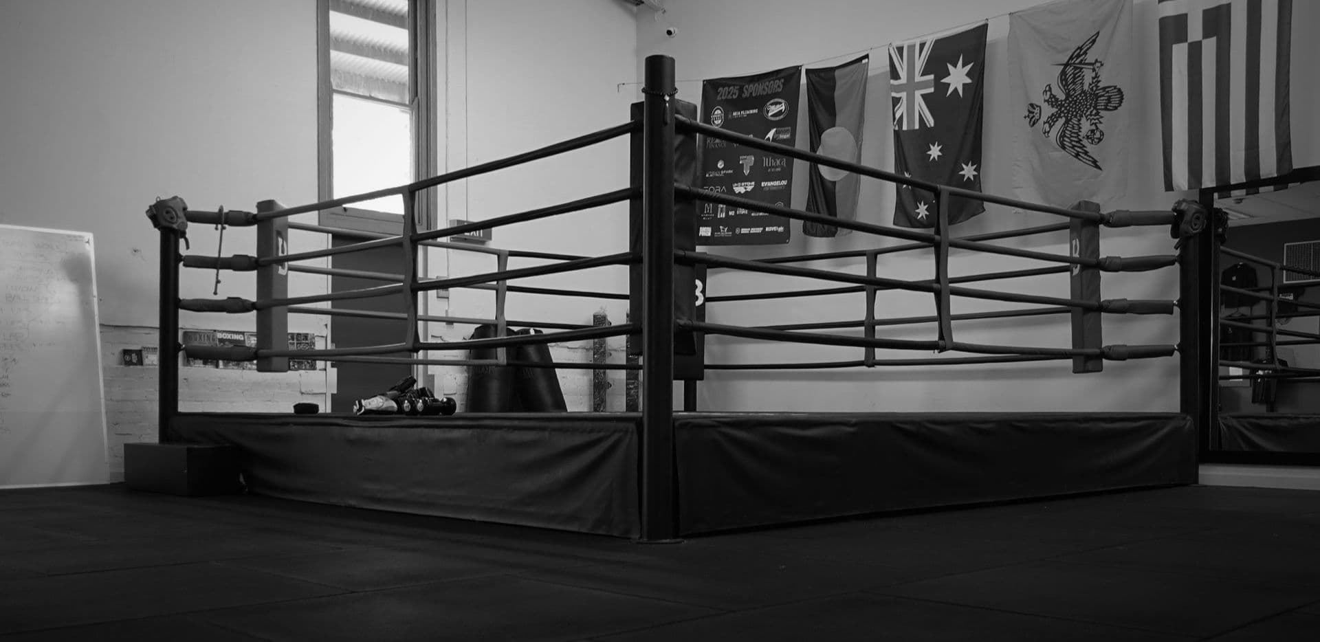 Main image of Boxing Brothers Adelaide