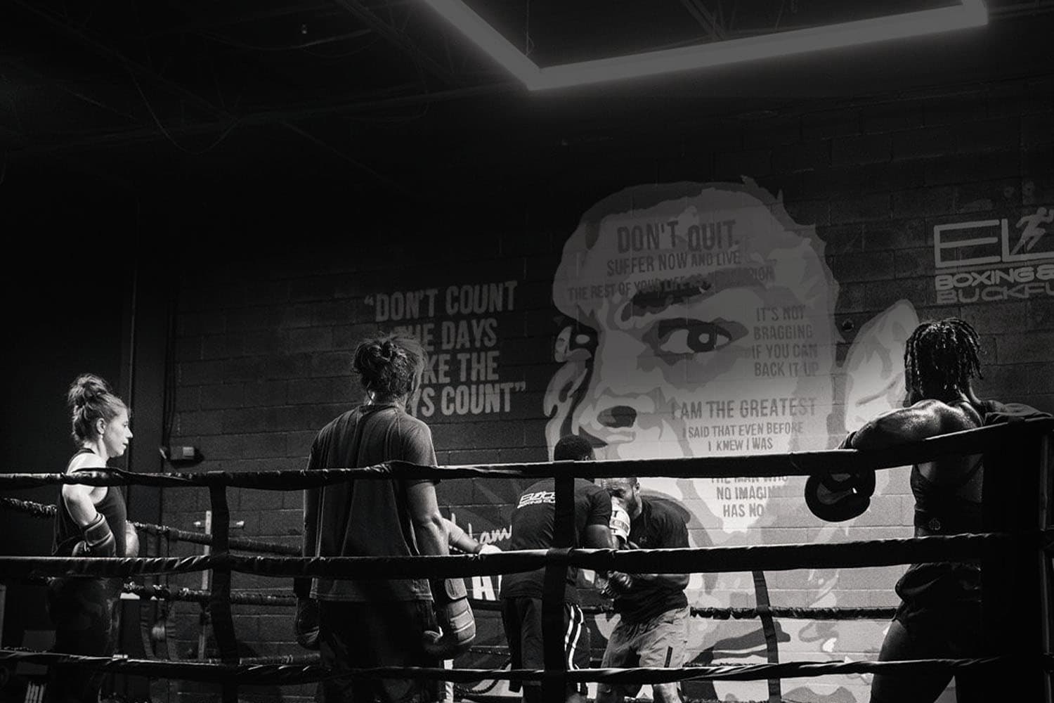 Main image of Elite Boxing & Fitness Gym