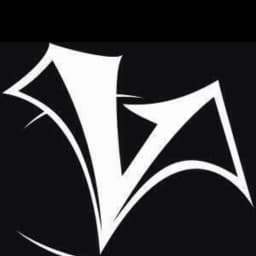 Dayton Vision MMA logo
