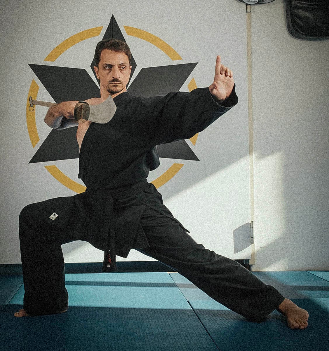 Syndicate Martial Arts Berlin - Shao Berlin GmbH logo
