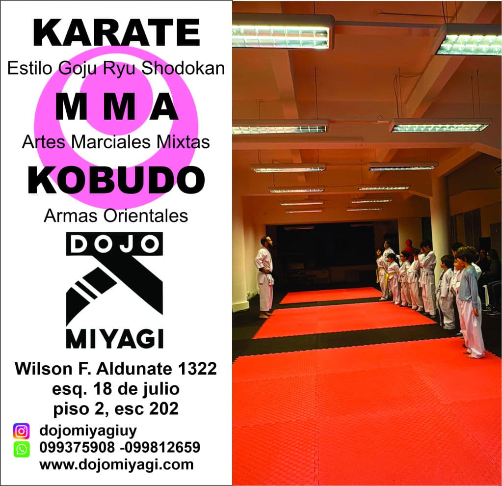 Main image of Dojo Miyagi
