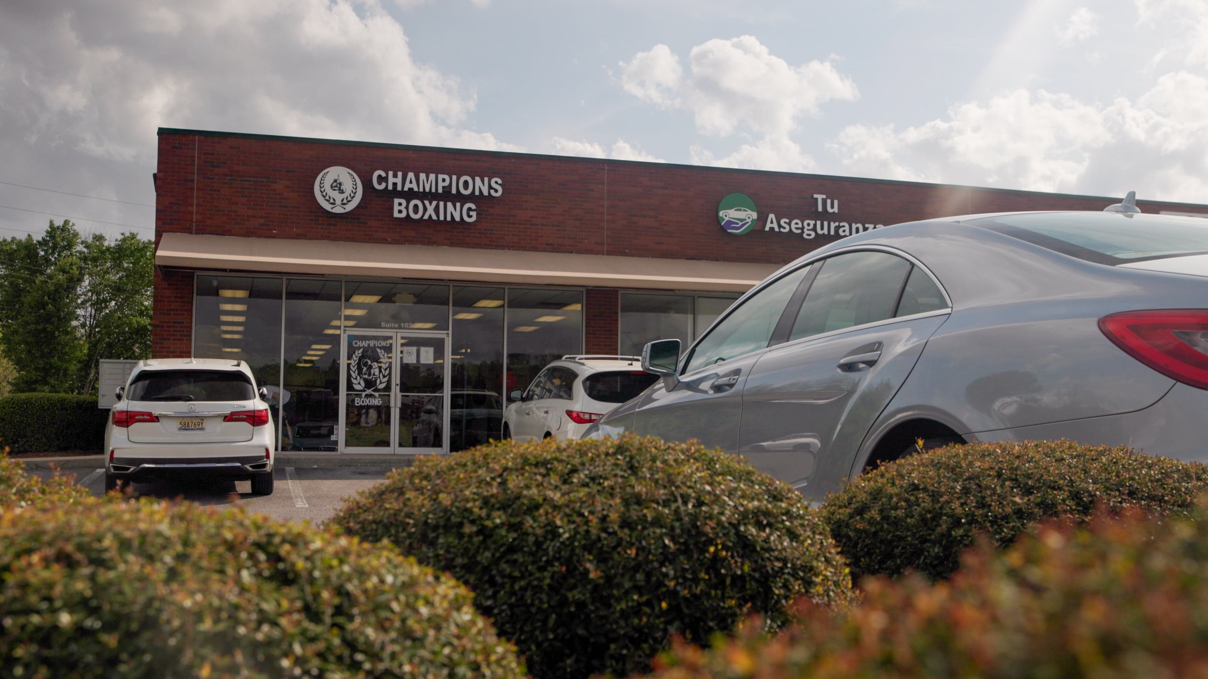 Main image of Champions Boxing