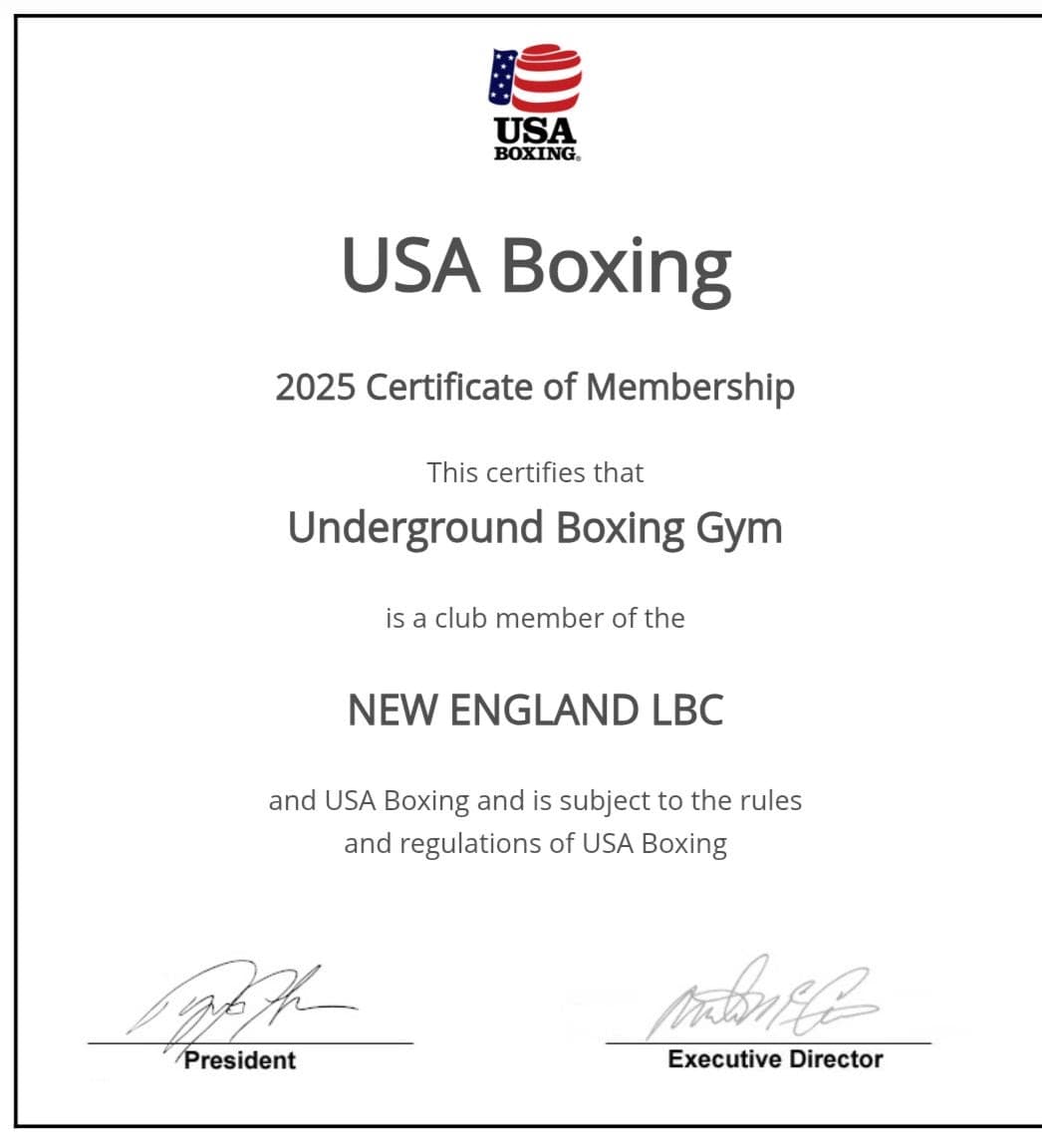 Underground boxing 978 logo