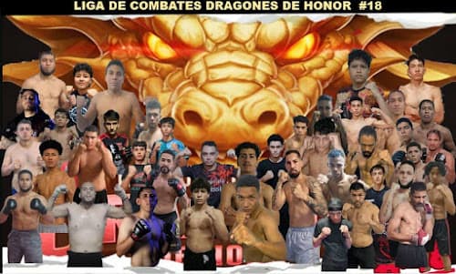 Main image of Thailand´s Dragons Team MMA