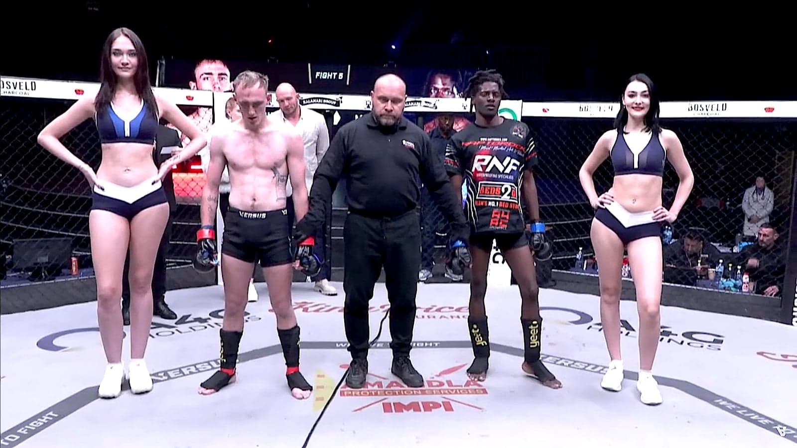 Main image of RaptorocK® MMA & Grappling