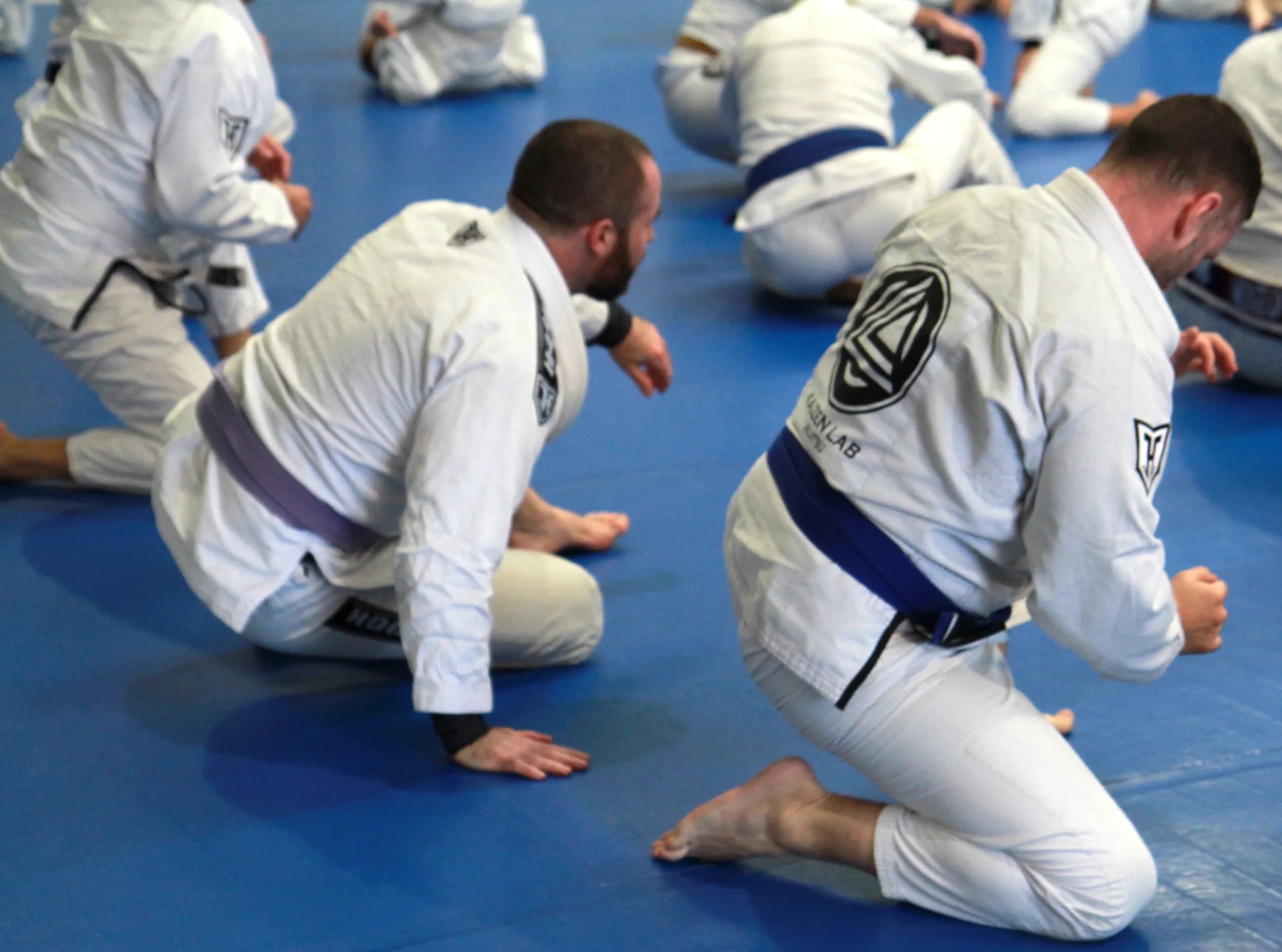 Main image of Kaizen Lab Jiujitsu