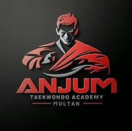 Anjum Taekwondo Academy Multan logo