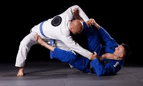 Main image of Brazilian Jiu-Jitsu Gladius