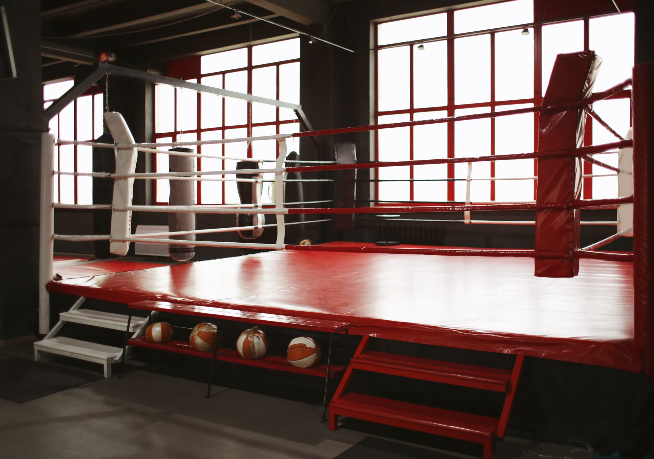 Main image of Sierra MMA
