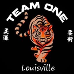 Team One Louisville Jiu Jitsu logo