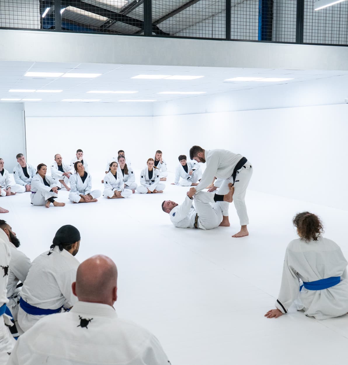 A L B A Jiu Jitsu logo