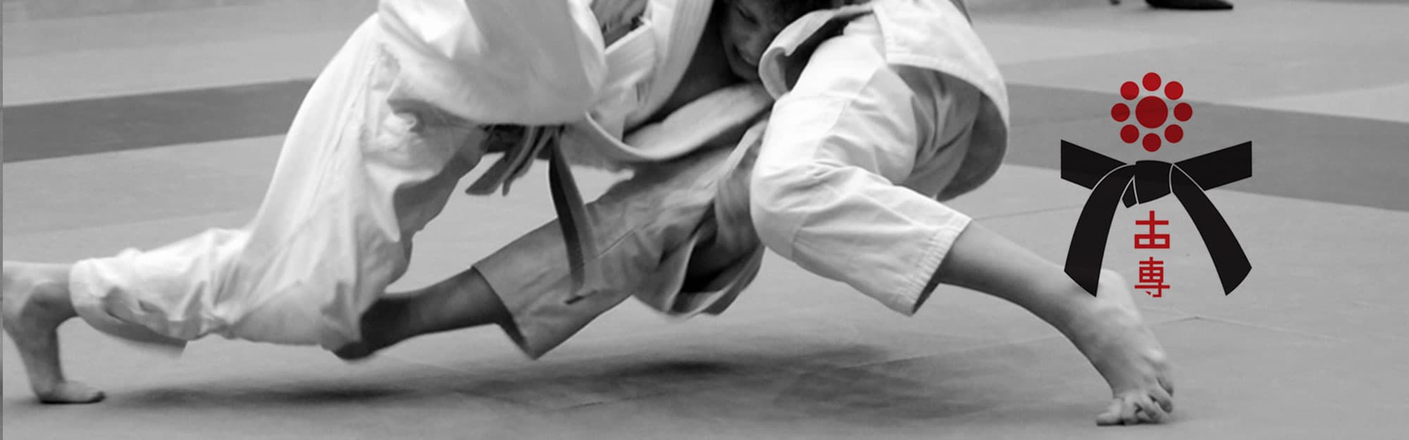 A.S.D. Martial Arts School logo
