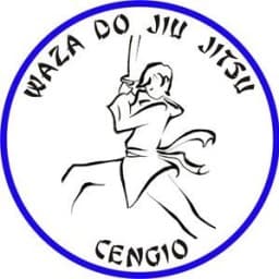 A.S.D. Waza Do Jiu Jitsu logo