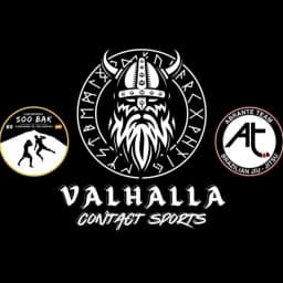 Abrante Team - Valhalla logo