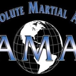 Absolute Martial Arts (PGH) logo