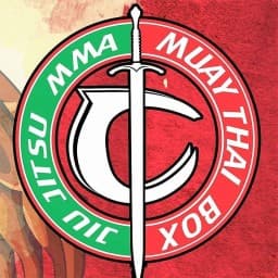 Academia Camelot logo
