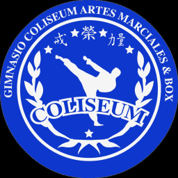 ACADEMIA COLISEUM ARTES MARCIALES logo