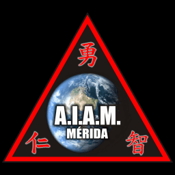 Academia de Artes Marciales Mérida logo