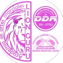 ACADEMIA LION GURÚ logo