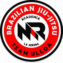 Academia Mario Ramirez logo