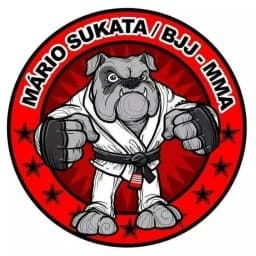 Academia Mario Sukata Internacional logo