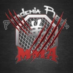 Academia Ronin MMA logo