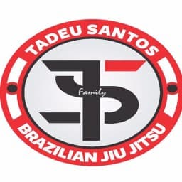 Academia T S De Jiu Jitsu logo