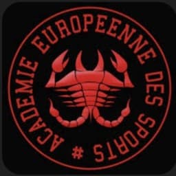 Académie européen logo