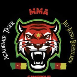 ACADEMIE TIGER JJB - MMA logo