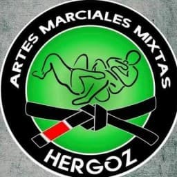 Academy Hergoz Jiujitsu logo
