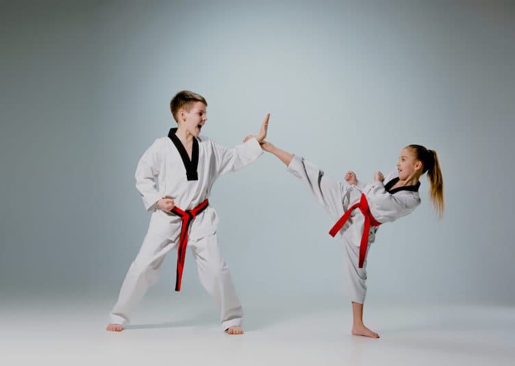 Accademia Arti Marziali Dojo Sugiyama logo