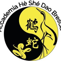 Accademia He She Dao Brescia asd logo