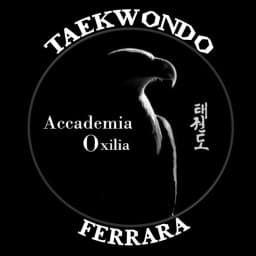 Accademia Oxilia (Polisportiva Putinati Ferrara logo