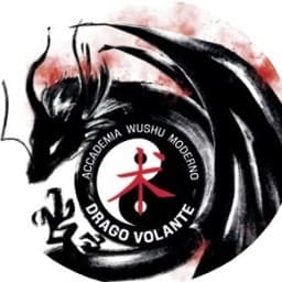 Accademia Wushu Moderno Drago Volante logo