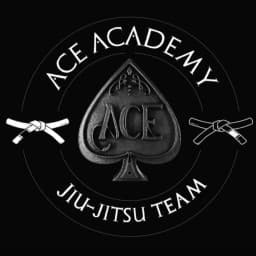 Ace Martial Art Academy logo