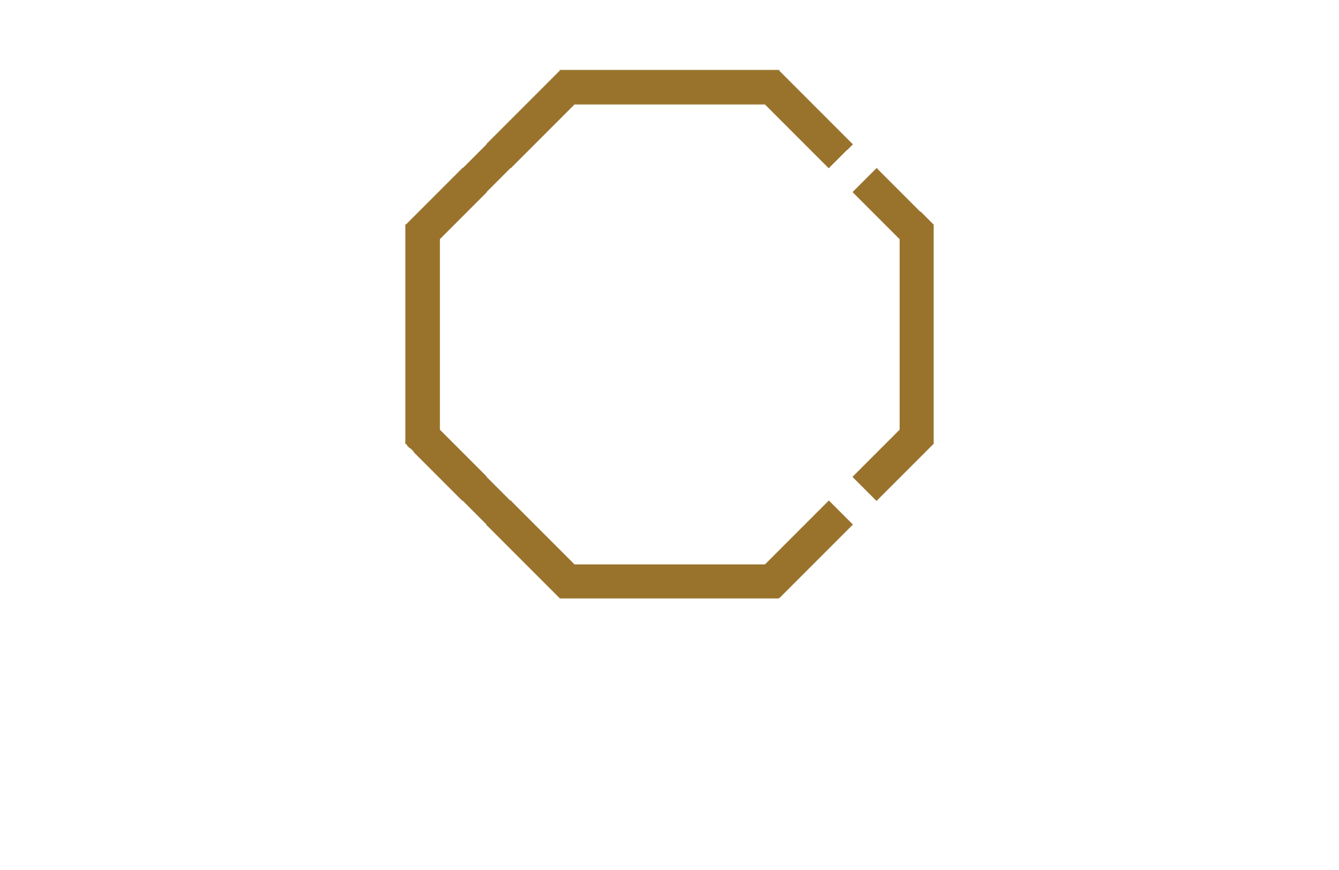 ACE MMA Elite Training Centre logo