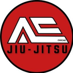 AE JIU-JITSU LAS VEGAS (IBJJFF) logo