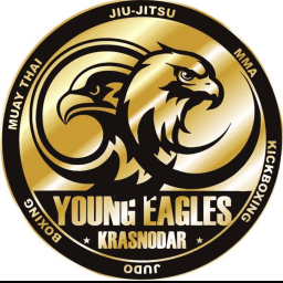 AE YOUNG EAGLES KRD logo