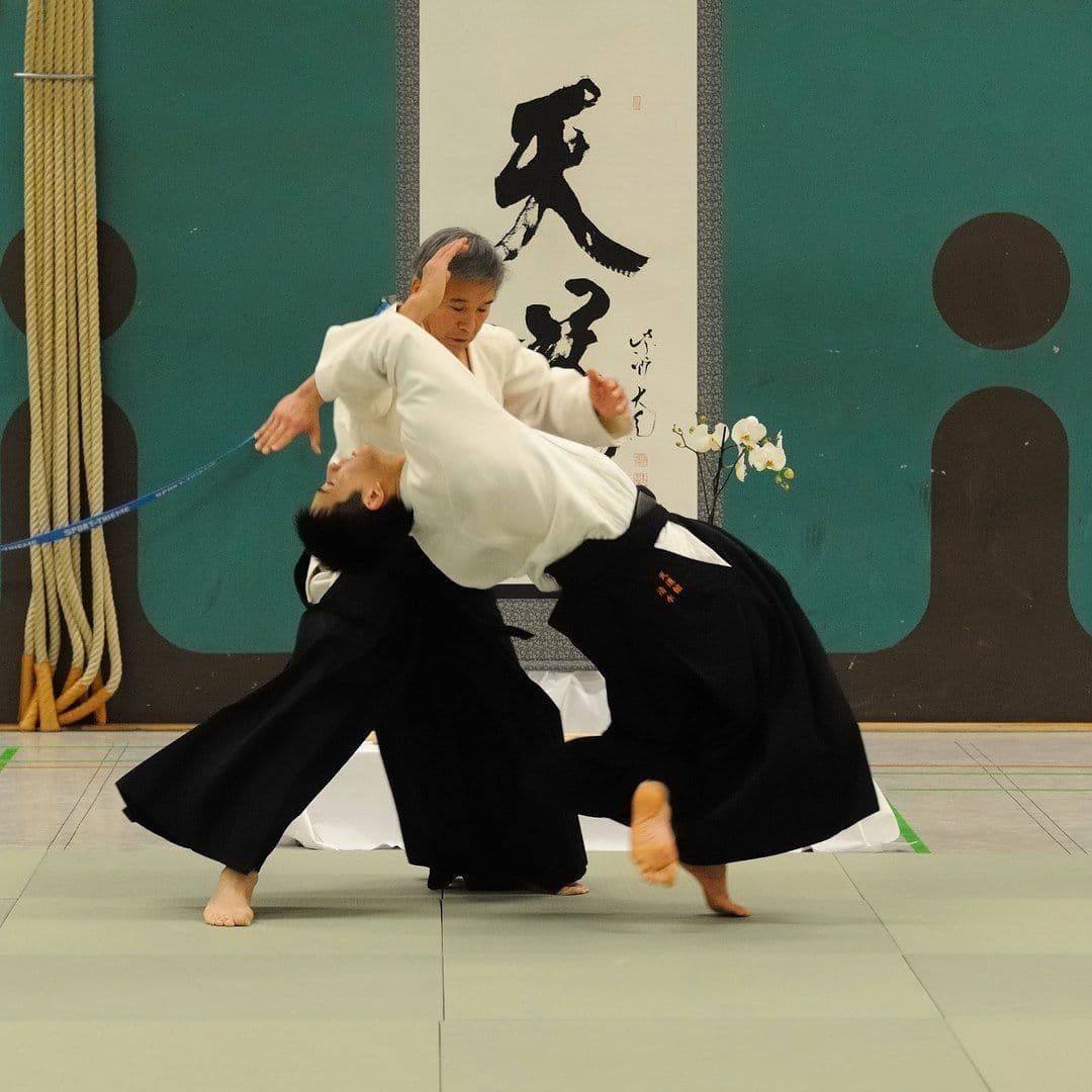 Main image of Aikido im PSV Essen e.V.