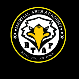 Air Force JUJITSU logo