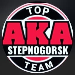 AKA TOP TEAM logo