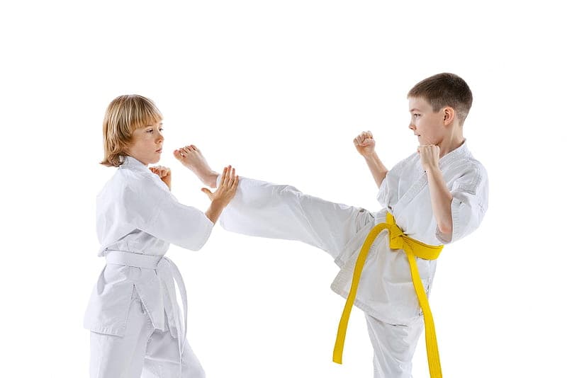 Main image of Akdeniz Kaplanlari Karate Ihtisas Spor Kulübü