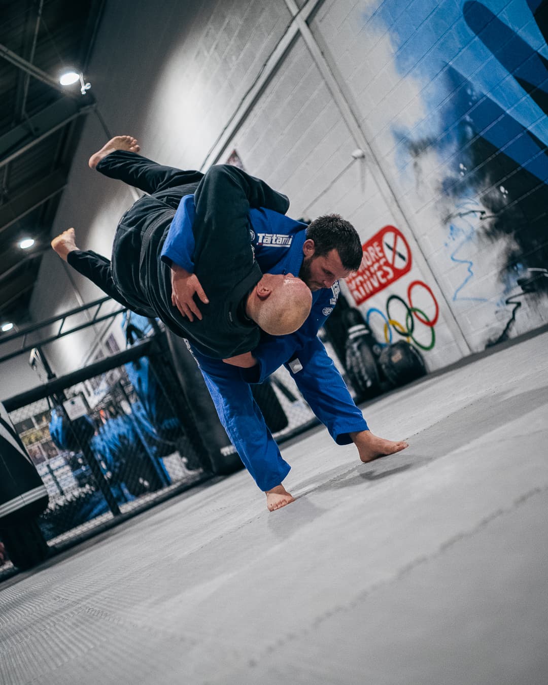 Main image of Akita Jiujitsu
